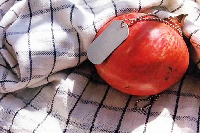 مبنای برخورداری از مزایای پیش بینی شده برای جانبازان